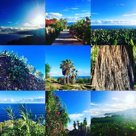 La Favorita * La Orotava