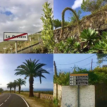 Tatil Evi La Favorita La Orotava